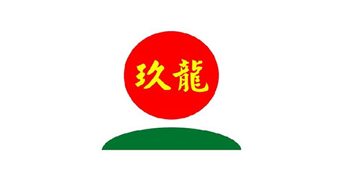 玖龙纸业